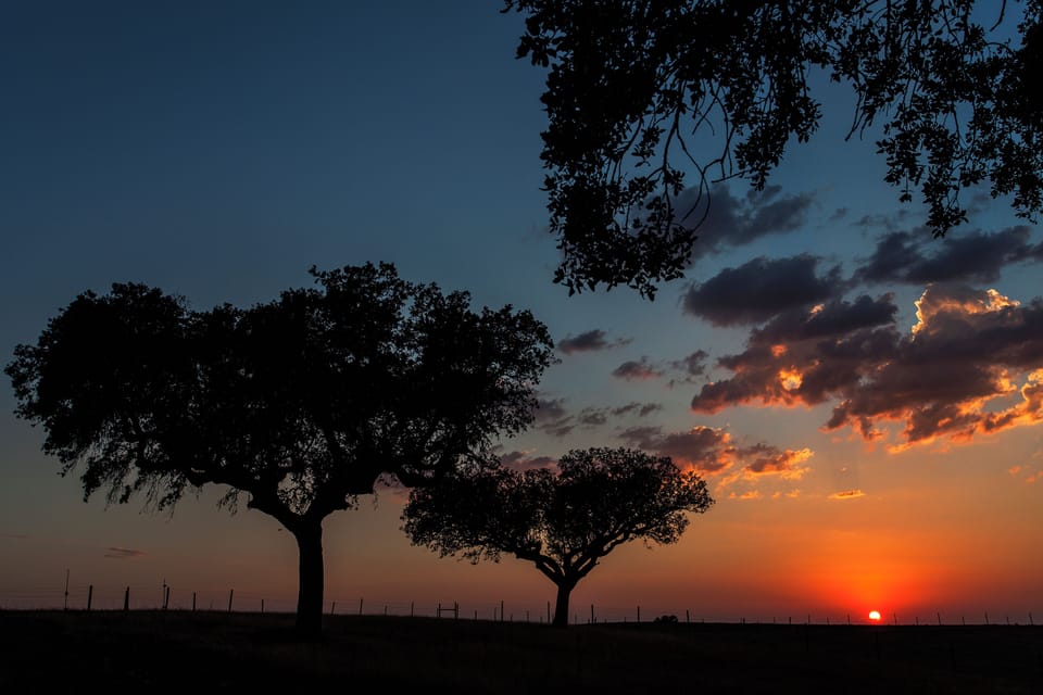 Agroturismo Xistos Farm Stay in Beja District