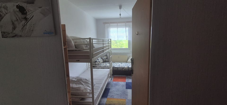 Bright triple-sleeper room with bunk beds, natural light, and garden views