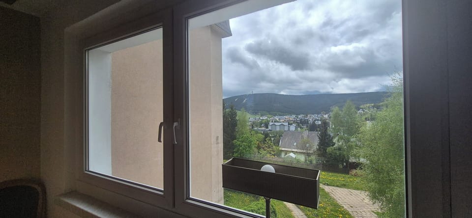 Scenic mountain-view window overlooking greenery and quiet neighborhood