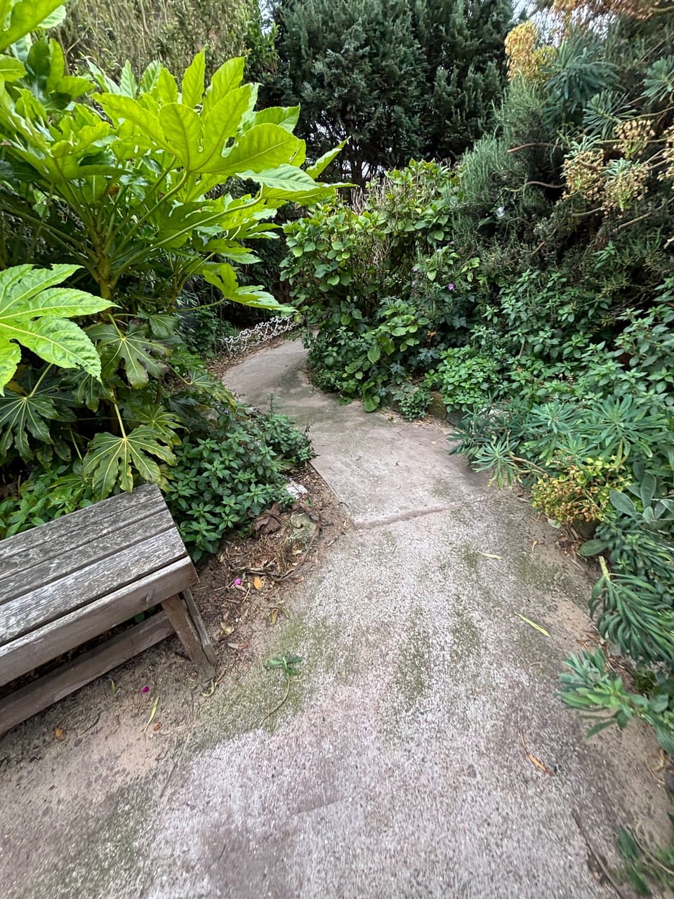 Property grounds