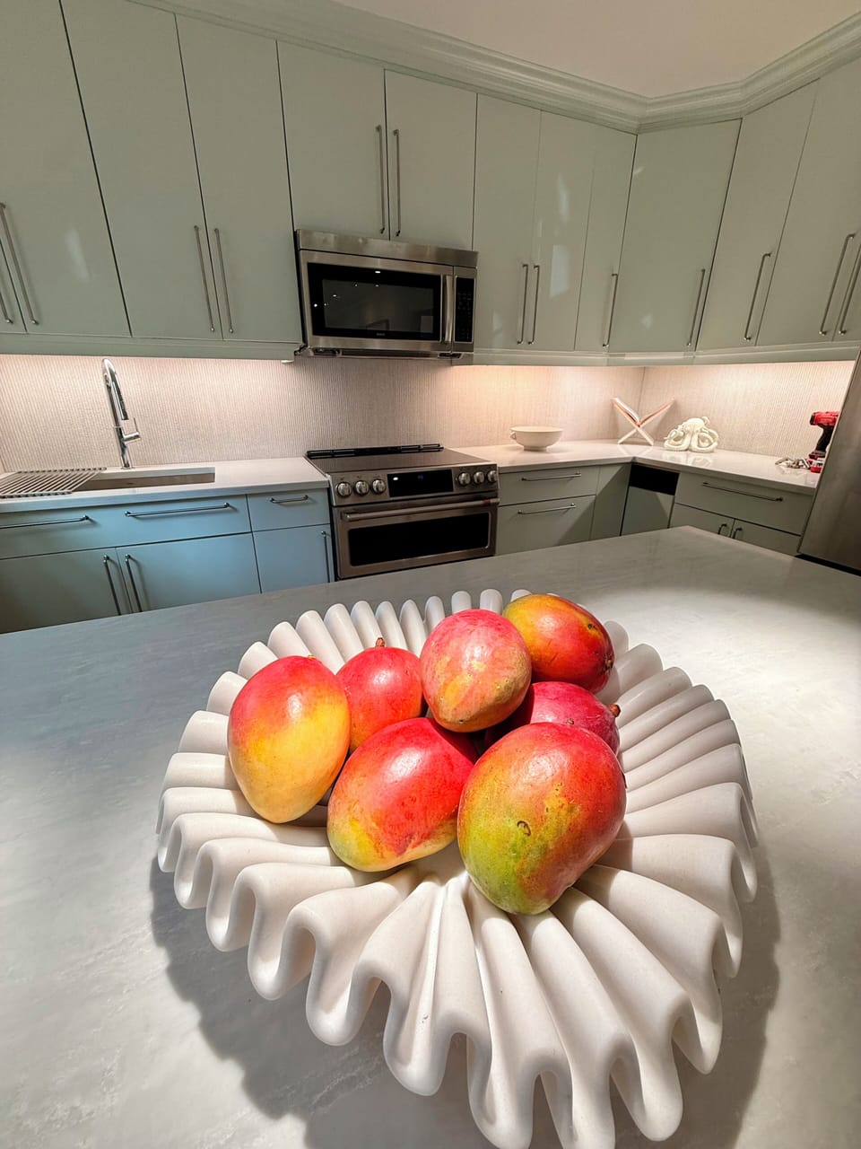 Front house kitchen with mangos from our tree! 