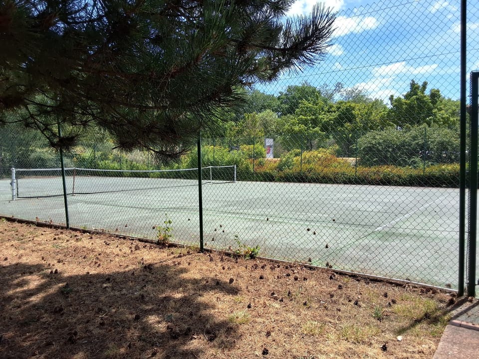 Sport court