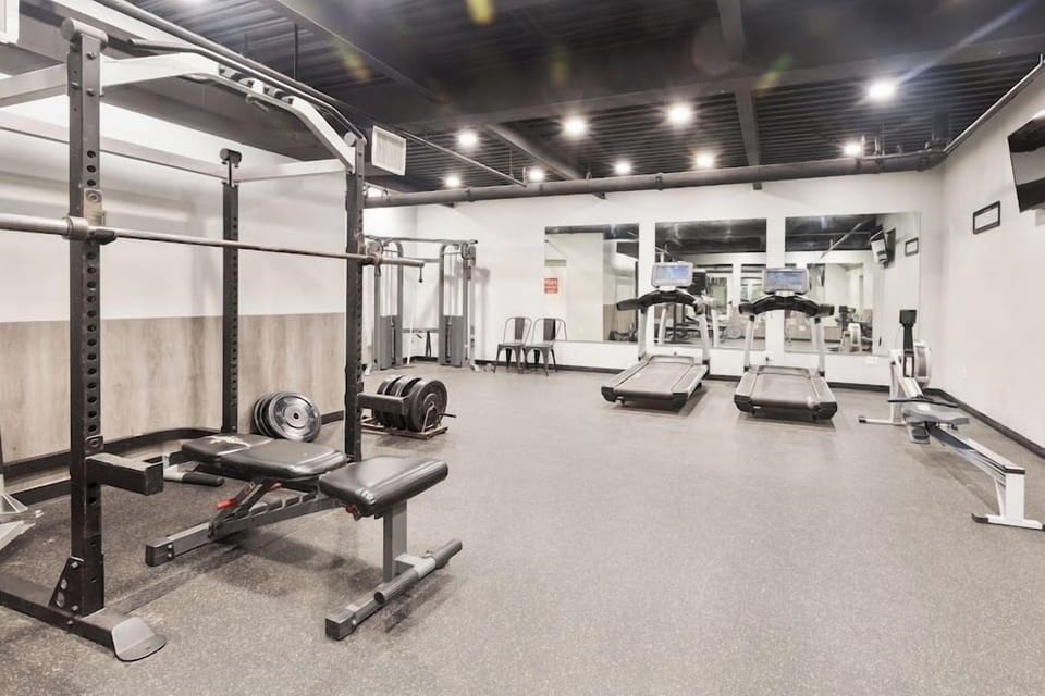 Fully equipped gym featuring a power rack, adjustable weight bench, and free weights.