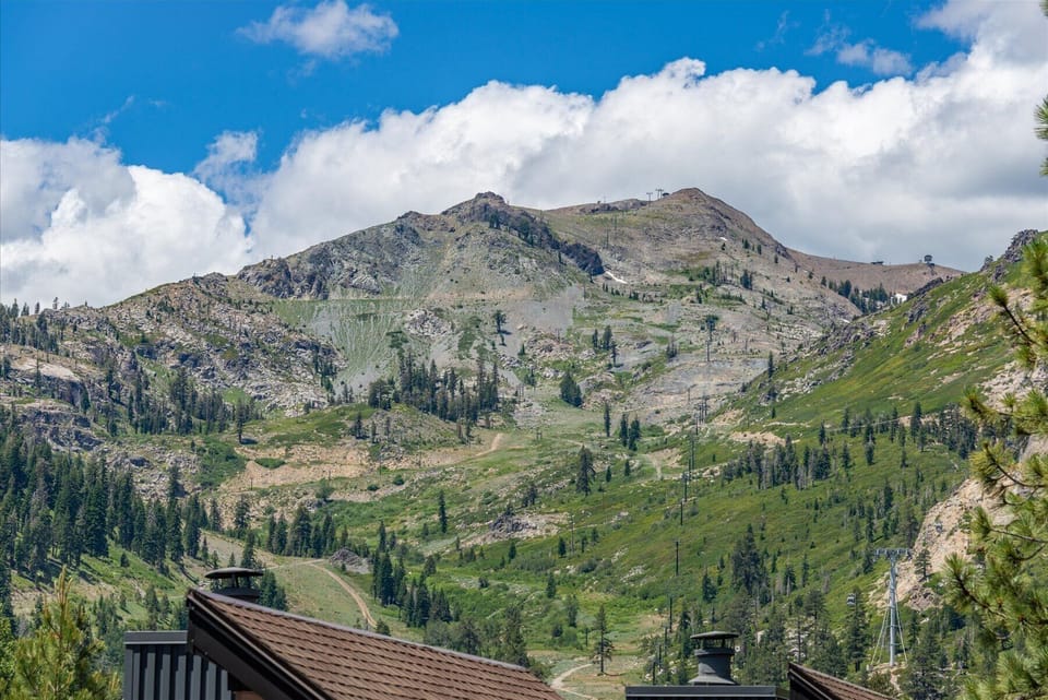 Mountainside property surrounded by evergreen forests and alpine meadows, with sweeping views of rugged peaks and summer trails winding through the natural landscape.