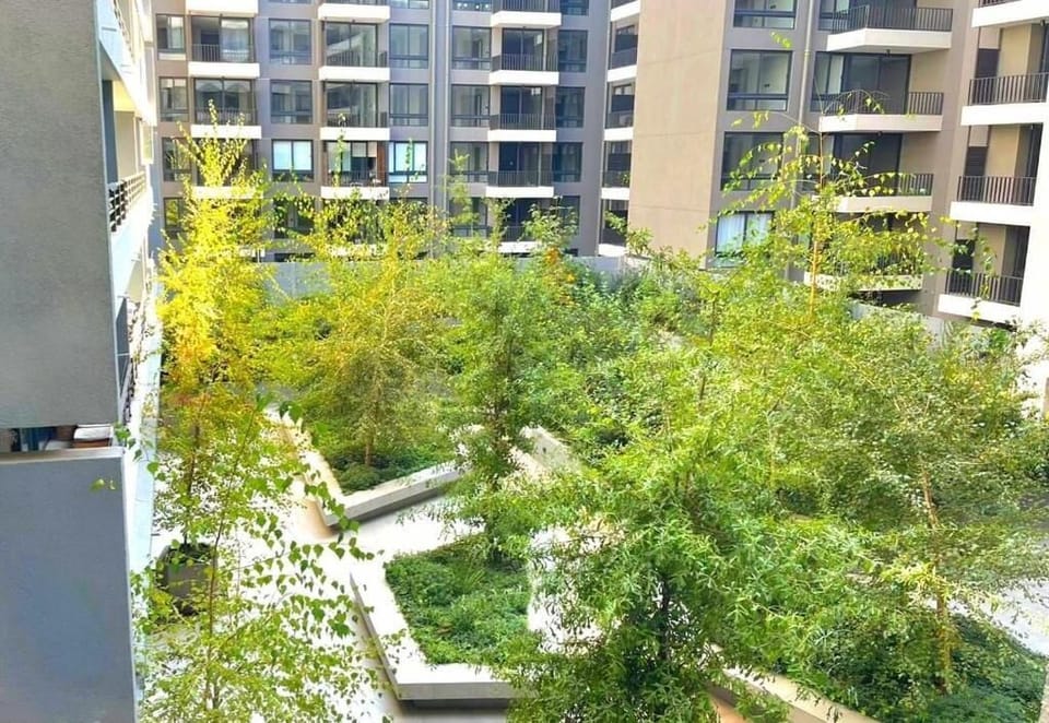 Basic Apartment | Property grounds