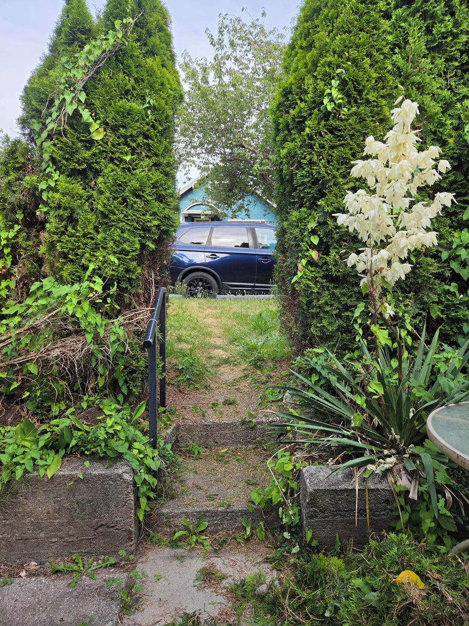 Property grounds