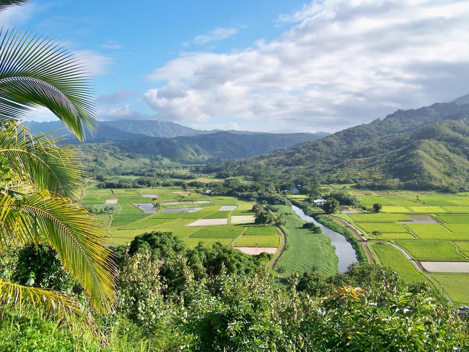 Hanalei Valley