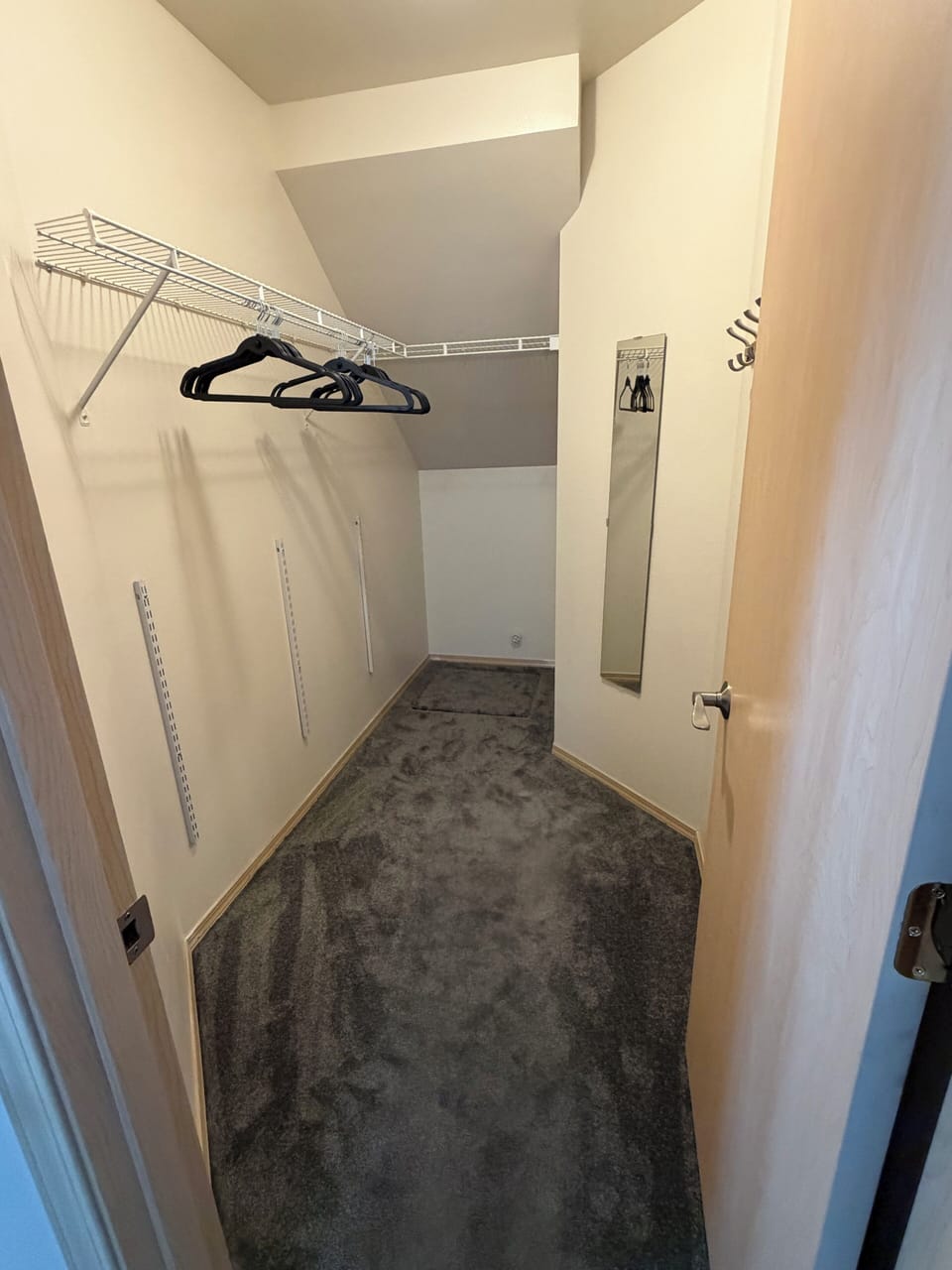 Primary closet