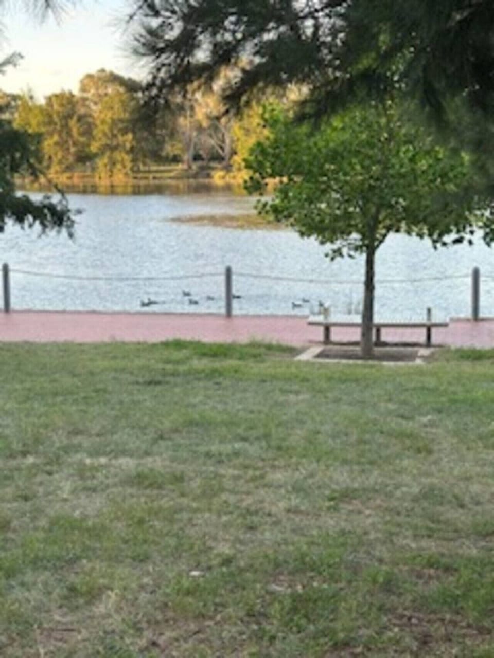 Property grounds