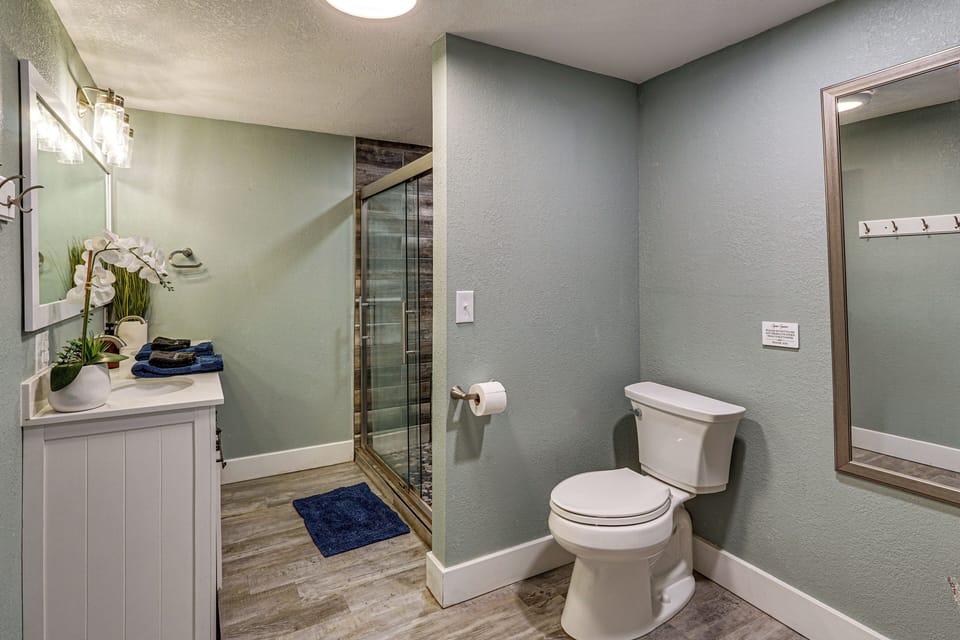 Bathroom | Lower Floor