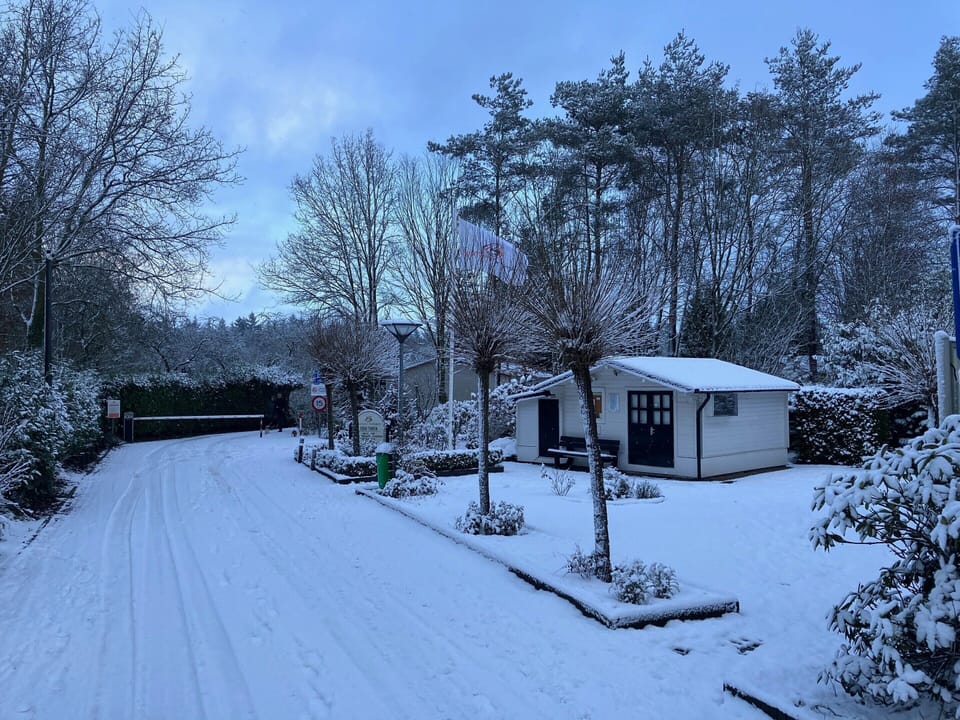 House | View from property
