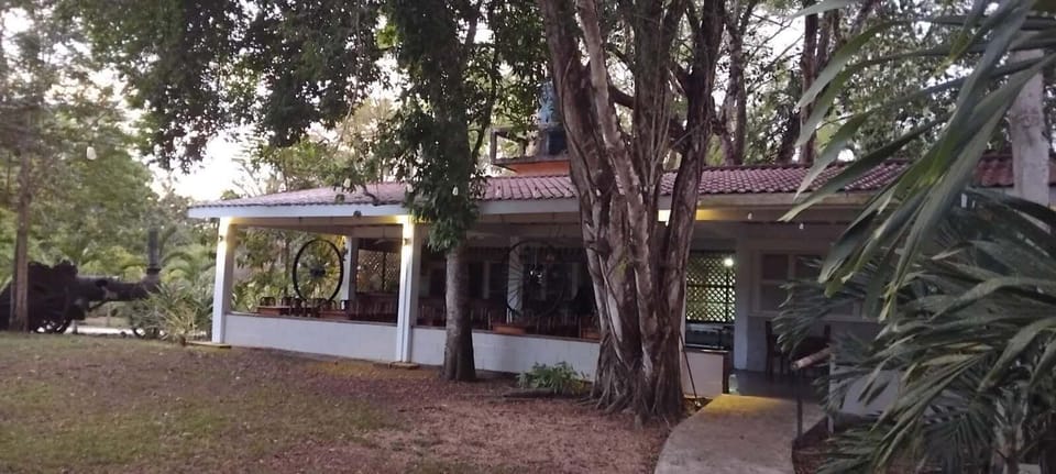 Property grounds