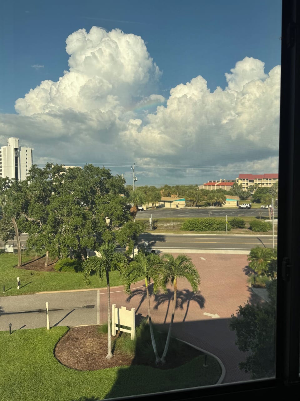 Morning view from bed