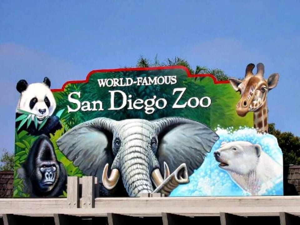1 Mile from the Zoo