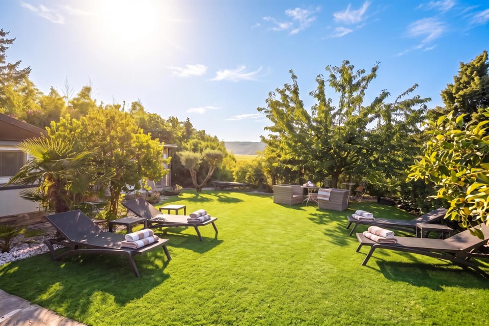 Shared Garden