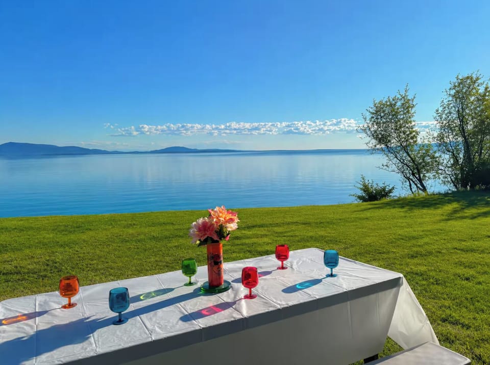 Dinner outside in the backyard. 