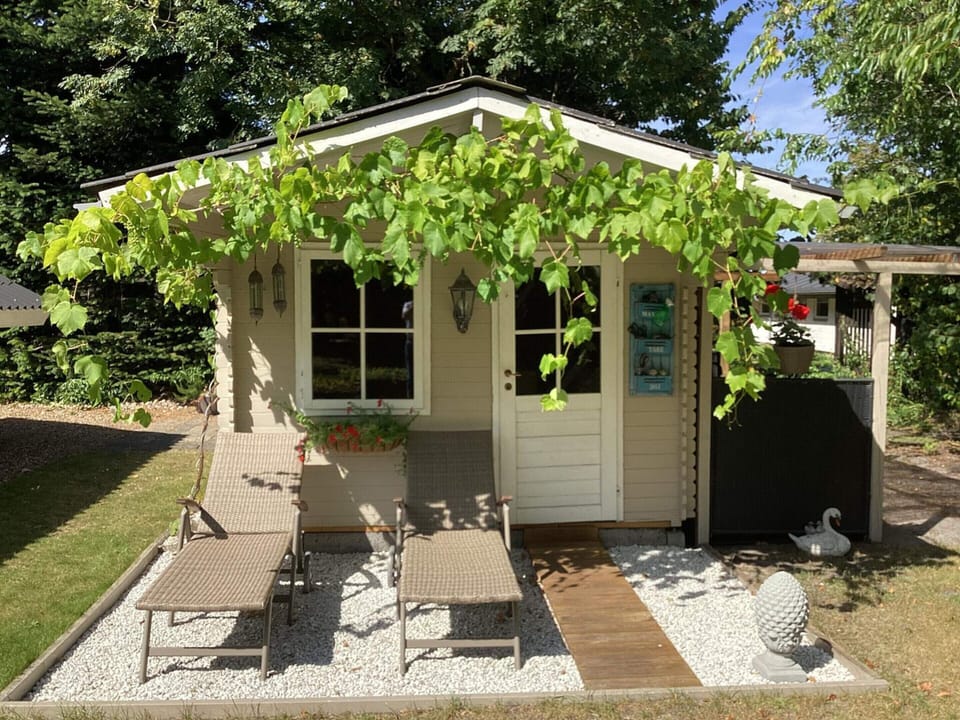 House | View from property