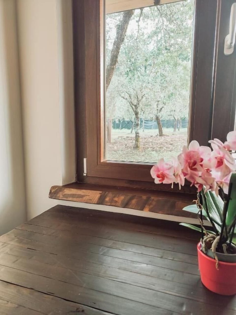 Triple Room, Garden View | Interior
