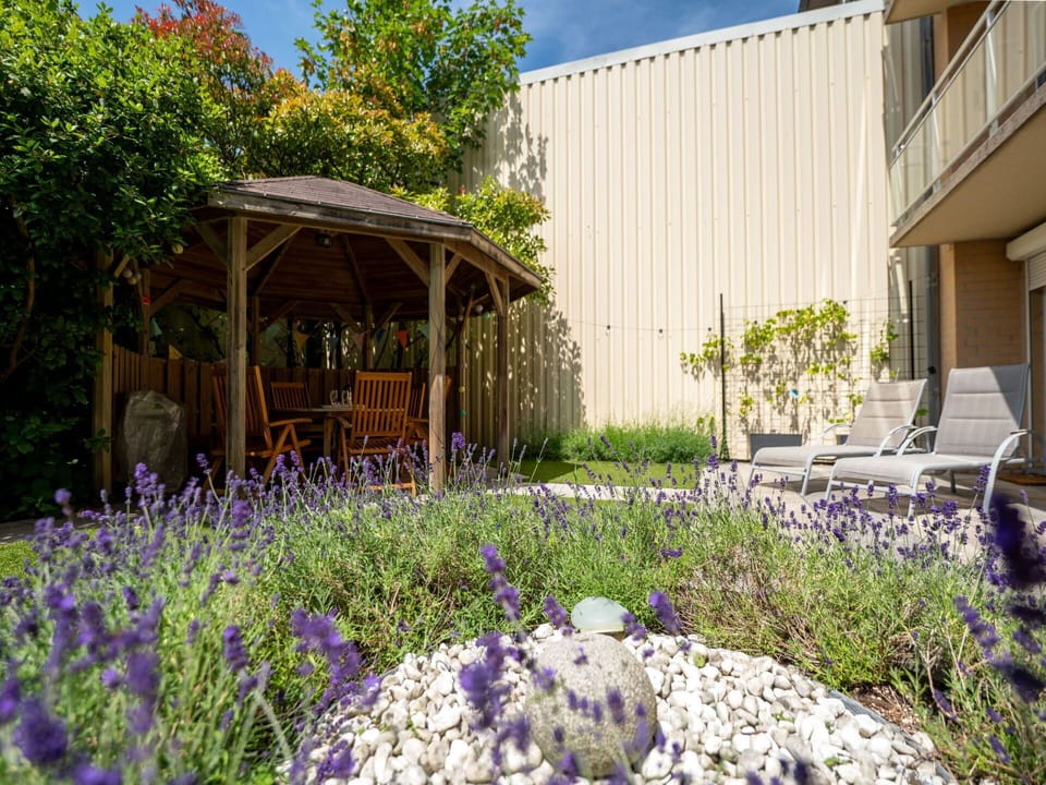 Flower, Shrub, Garden, Groundcover, Purple, Yard, Backyard, Landscaping, Chair, Shade