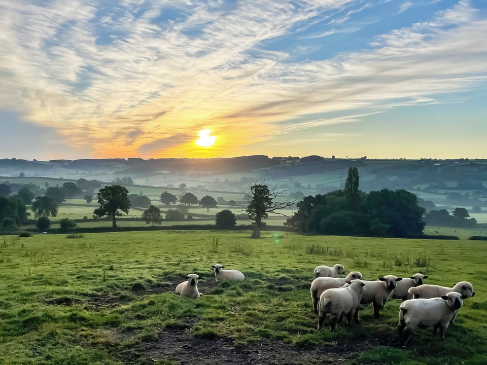 Surrounding area | The Cow Shed - Ley Farm, Yarcombe