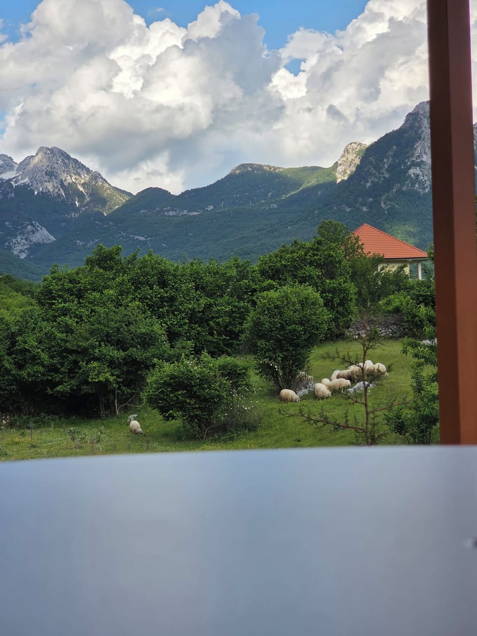 View from property