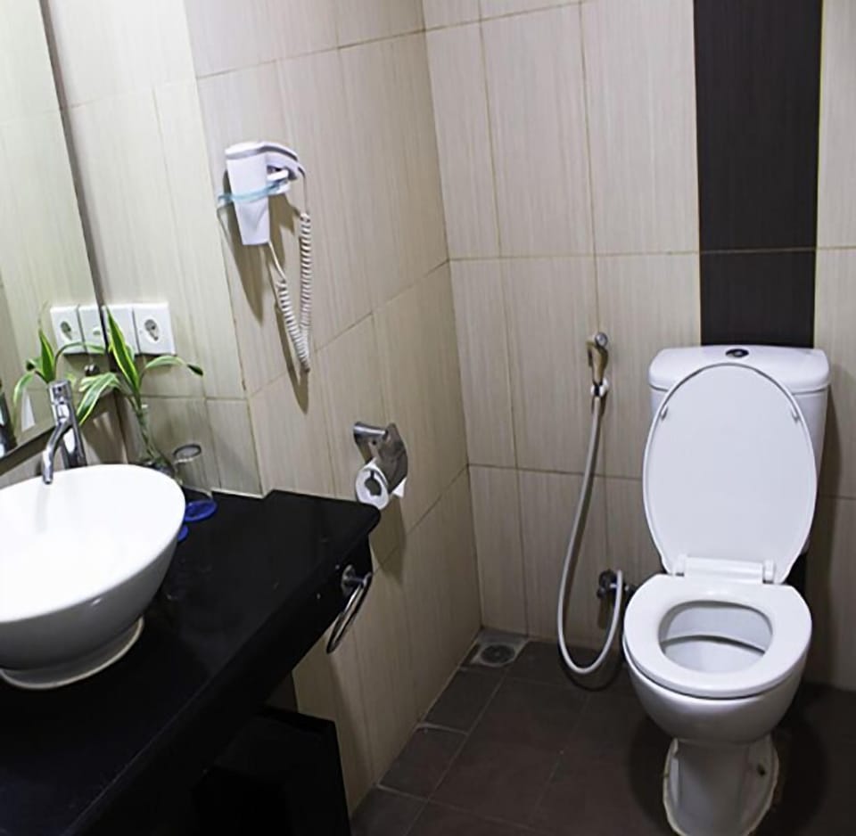 Free toiletries, hair dryer, slippers, towels