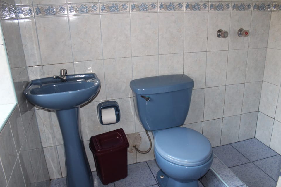 Shower, towels, soap, toilet paper