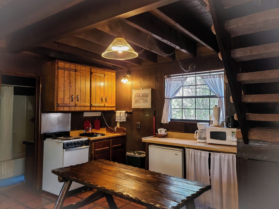 Cabin 8 | Private kitchen | Coffee/tea maker, fridge, microwave