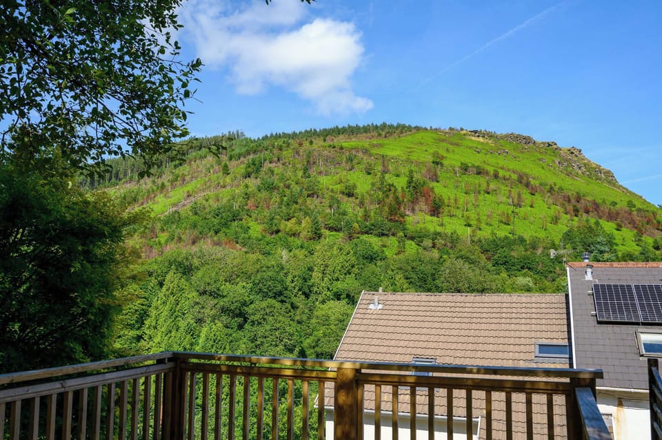 Stunning views with Afan forest in the distance