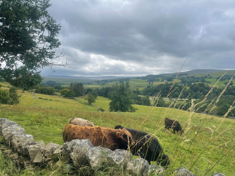 View from Low Annat Walls towards Crossfell and Hartside Pass.