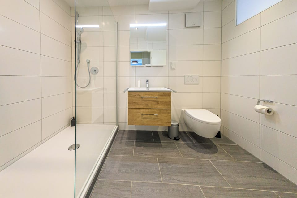 Deluxe Apartment | Bathroom | Towels, soap, toilet paper