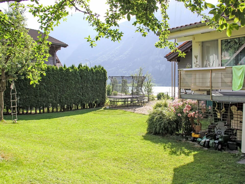 Green, Shrub, Land Lot, Home, Garden, Lawn, Groundcover, Cottage