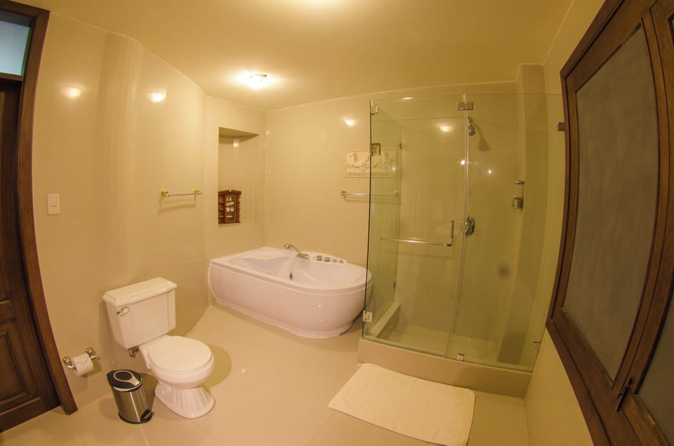 Presidential Suite | Bathroom | Shower, rainfall showerhead, towels, soap