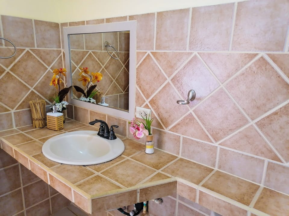 Rainfall showerhead, towels, soap, shampoo