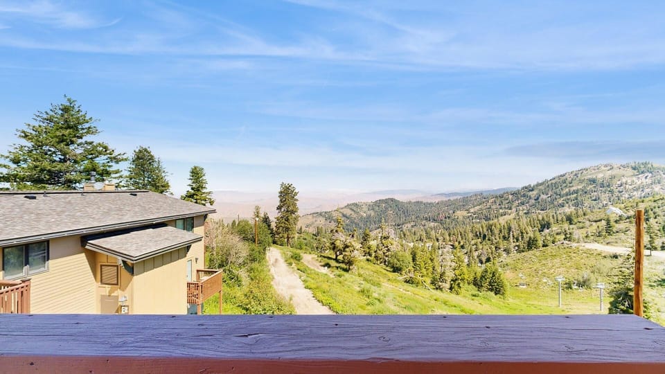 View from deck