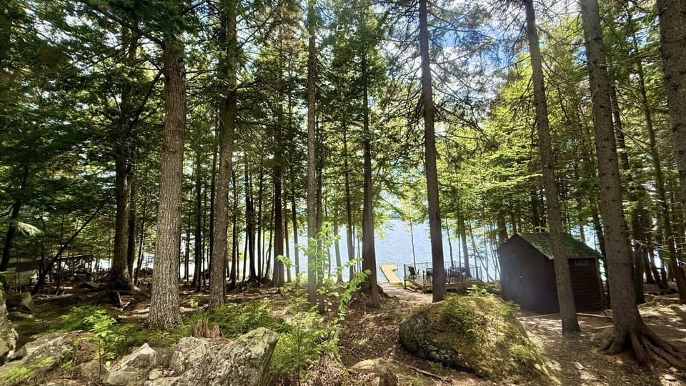 Private wooded area leading to the dock.