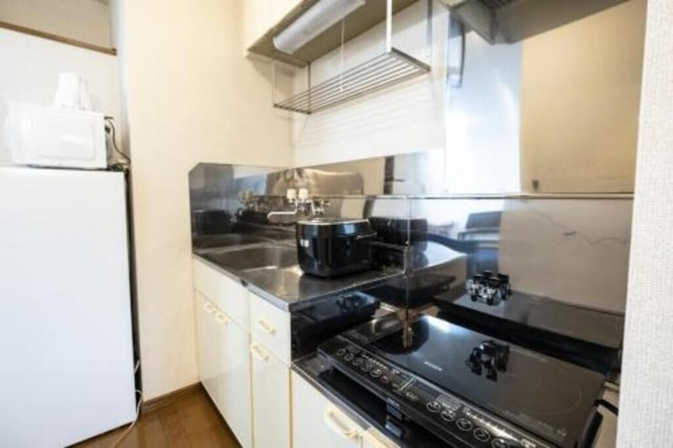 Basic Apartment, 1 Bedroom, City View | Private kitchen