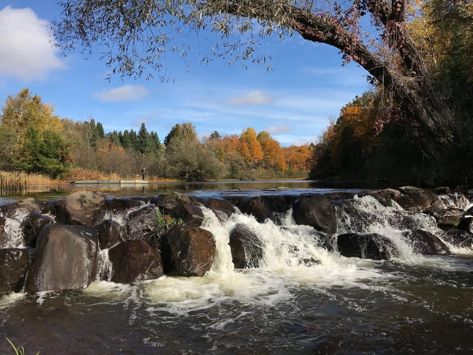 Lakefront Loon Lodge (711)