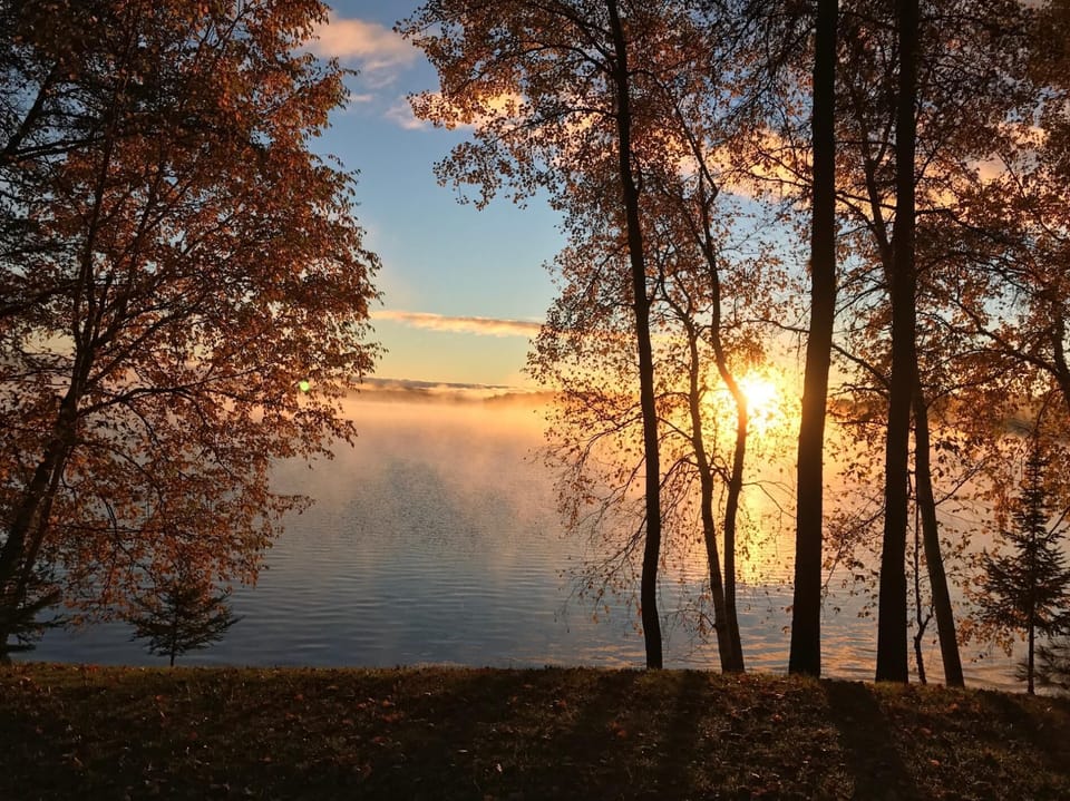 Lakefront Loon Lodge (702)