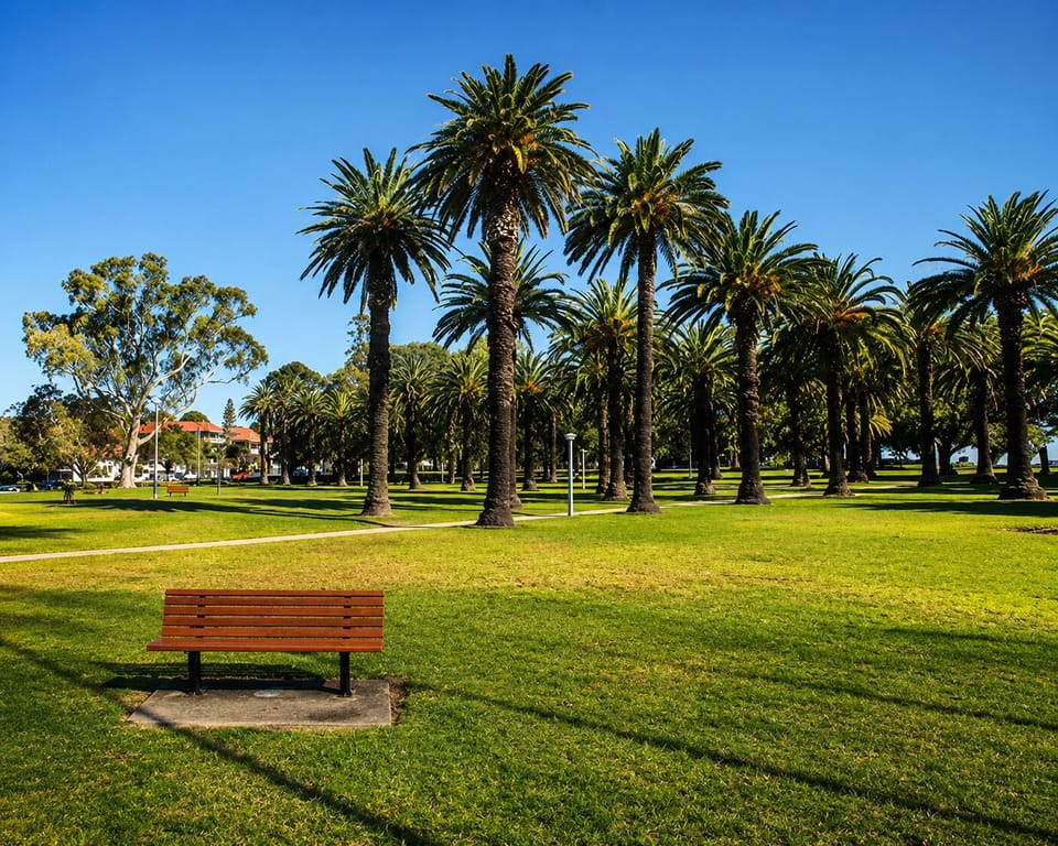 Enjoy a stroll through Ashfield Park, a local green space perfect for a morning walk or a picnic in the sunshine.