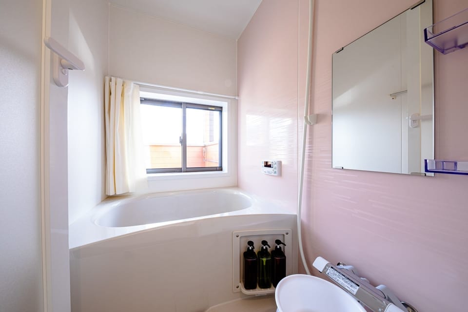 Hair dryer, soap, shampoo