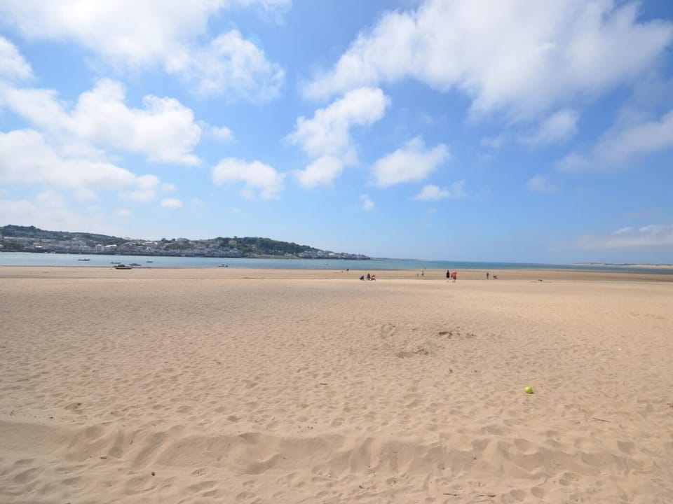 Dog friendly Instow beach