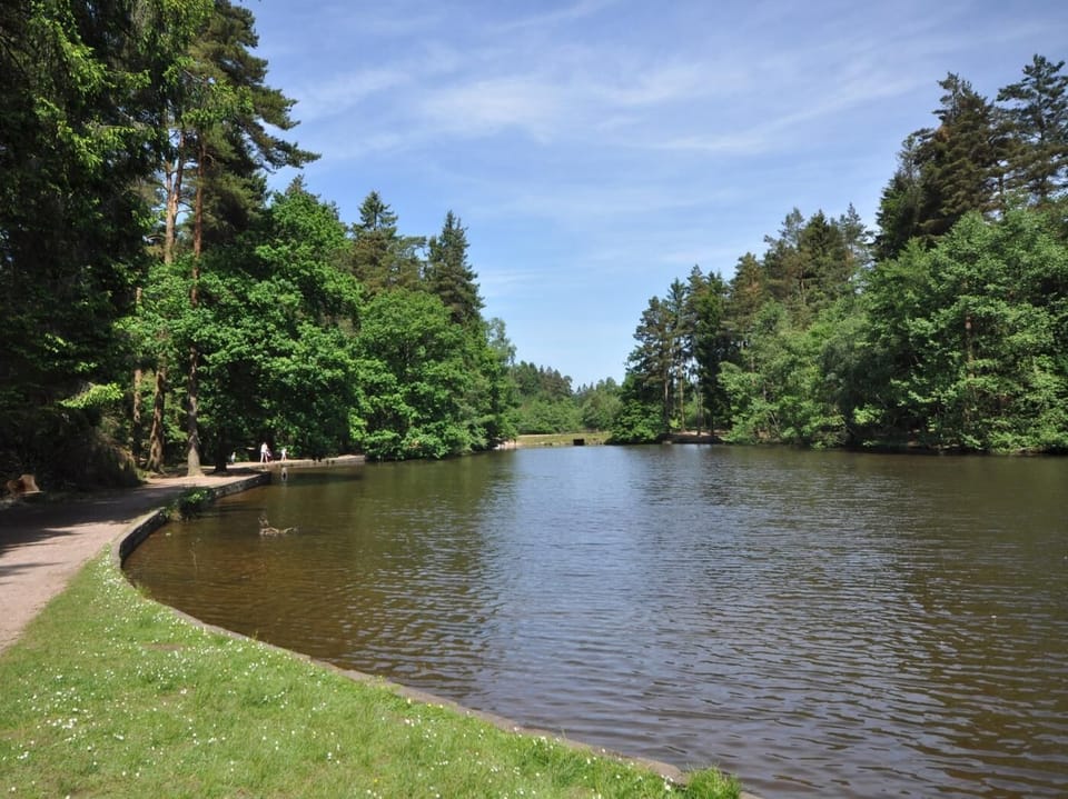 Take a stroll around the lake at Mallards Pike