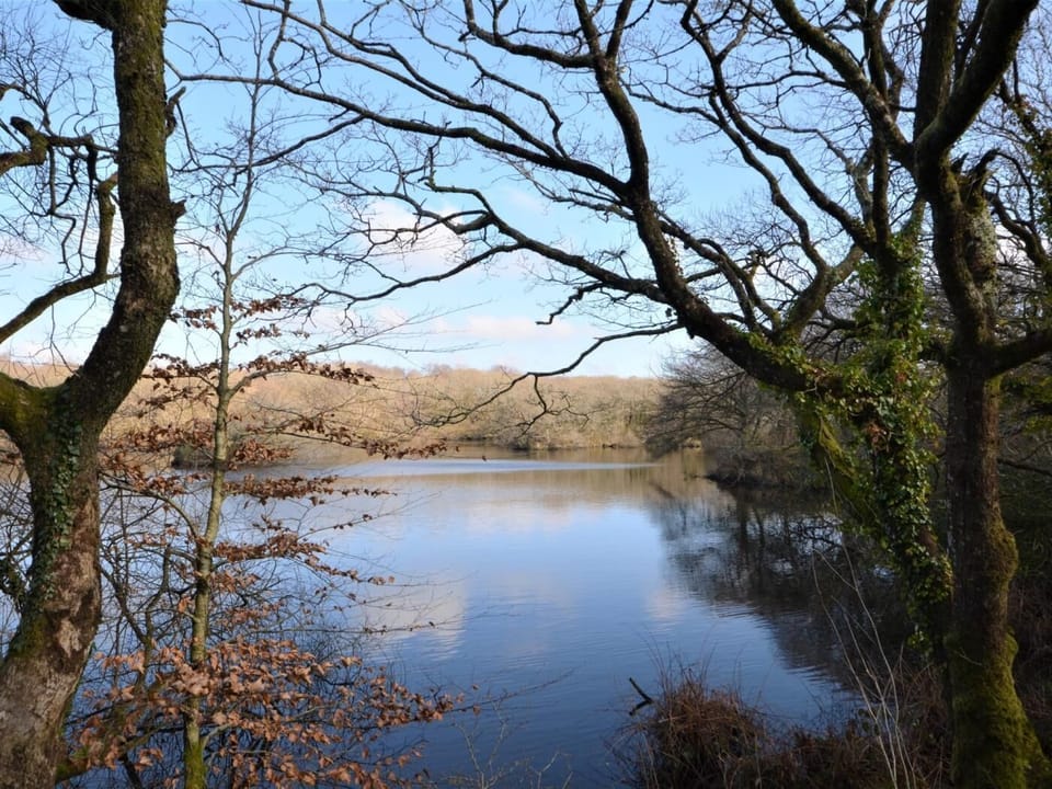 Take a stroll around the nature reserve