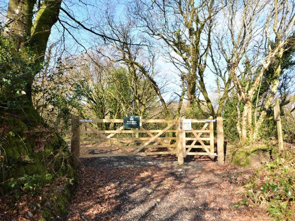 Red Moor nature reserve on your doorstep