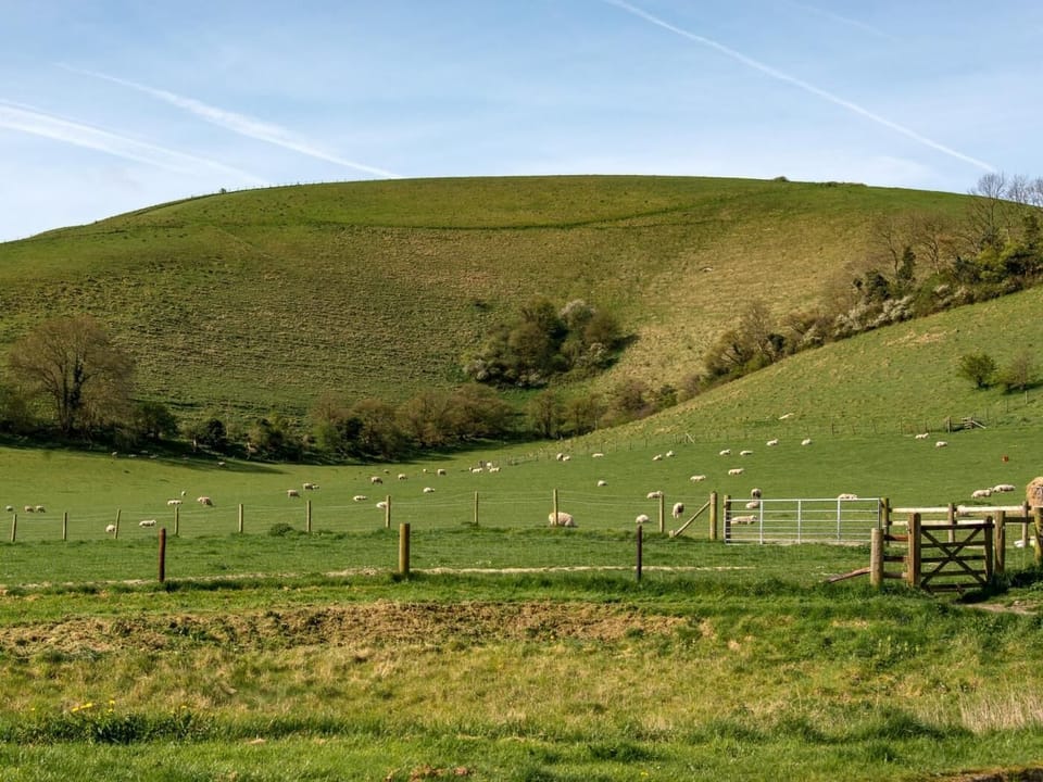 View from the property