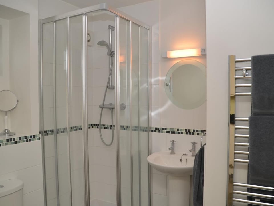 Contemporary shower room
