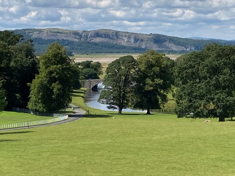 Beetham Deer Park - 5 minute drive from the property