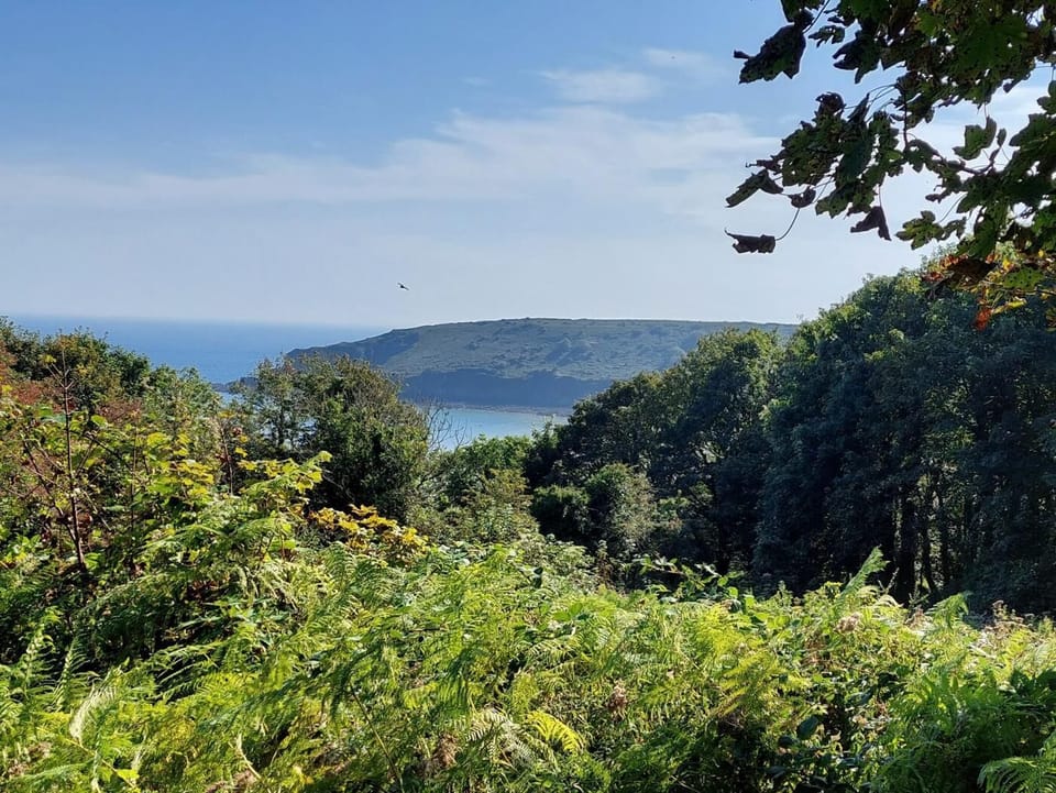 Woodland walk to Freshwater East Bay