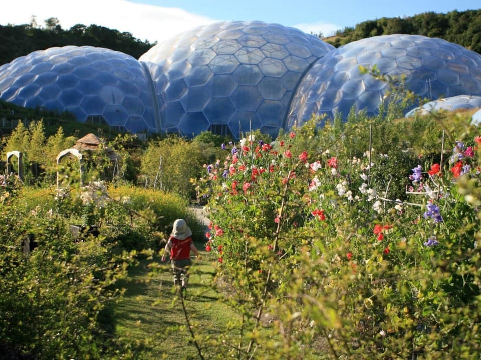 Visit the world famous Eden Project